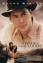 Bulutların ötesi / A Walk in the Clouds izle